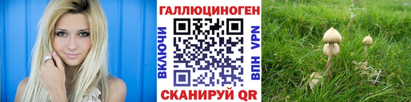 Псилоцибиновые грибы Cubensis Берёзовский